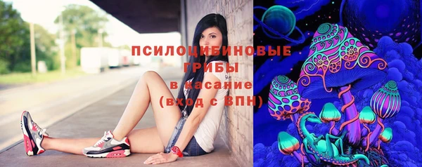 мяу мяу мука Козловка