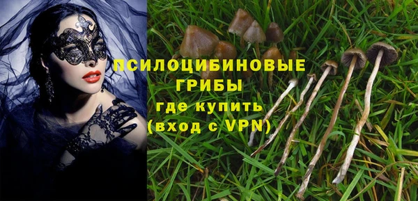прущая мука Иннополис