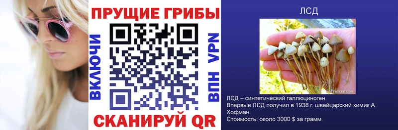 Псилоцибиновые грибы Psilocybine cubensis  цена   Кукмор 